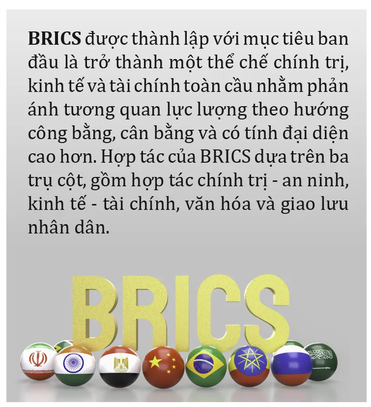 Viet Nam co tham gia nhom BRICS-6.jpg
