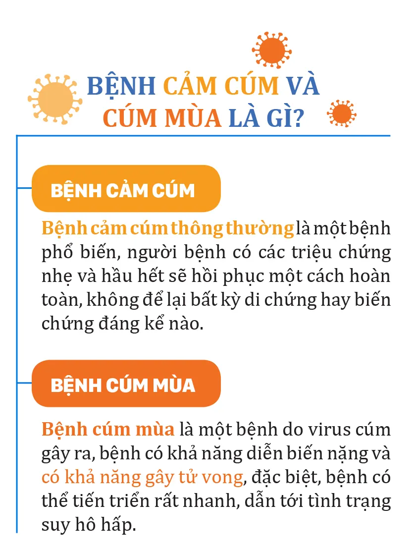 Phong benh cam cum va cum mua-1.jpg