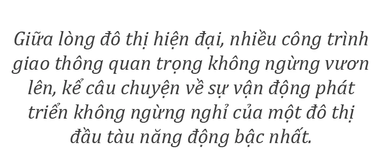 TPHCM-nhung cay cau-1.jpg