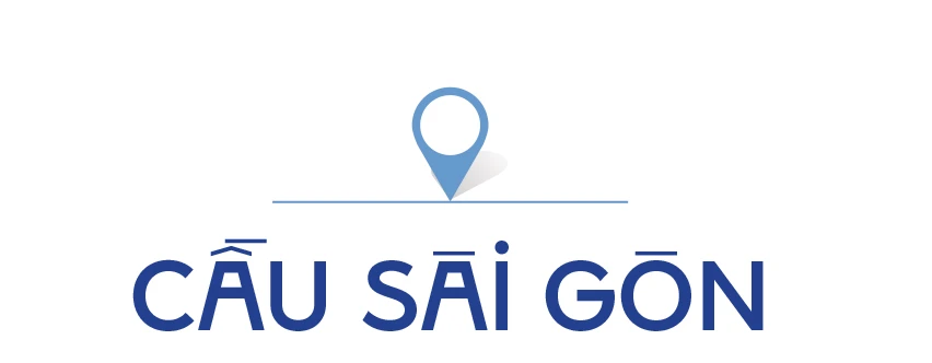 TPHCM-nhung cay cau-stit-1-cau SG.jpg