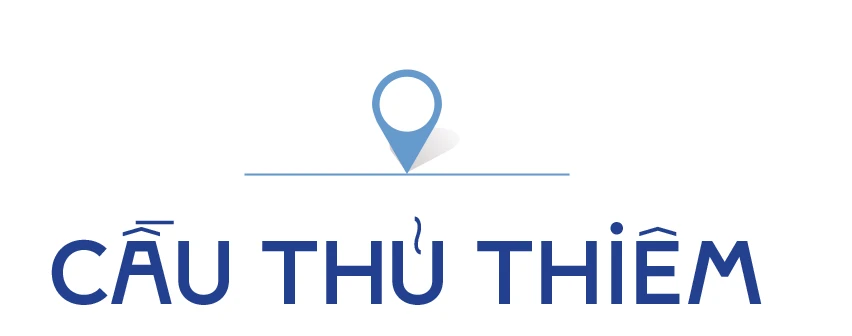 TPHCM-nhung cay cau-stit-2-cau Thu thiem.jpg