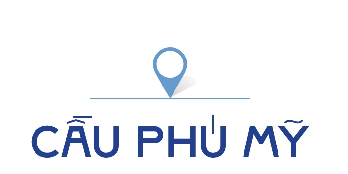 TPHCM-nhung cay cau-stit3-cau Phu My.jpg