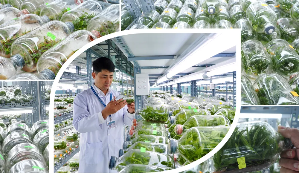 Nong nghiep do thi chuyen minh-10.jpg