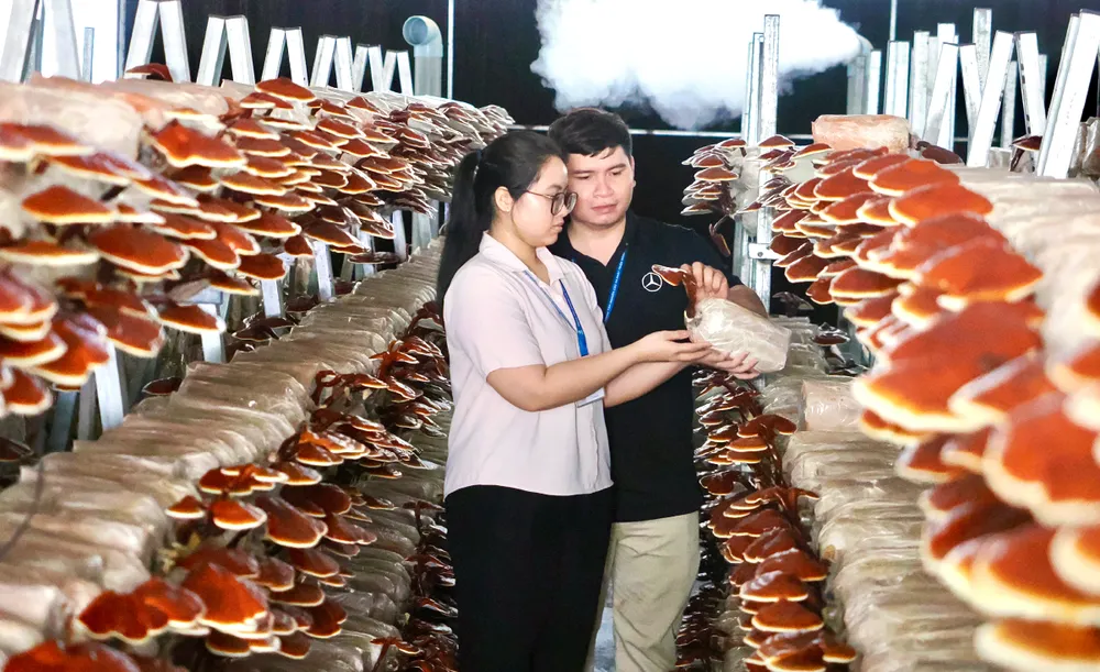 Nong nghiep do thi chuyen minh-13.jpg