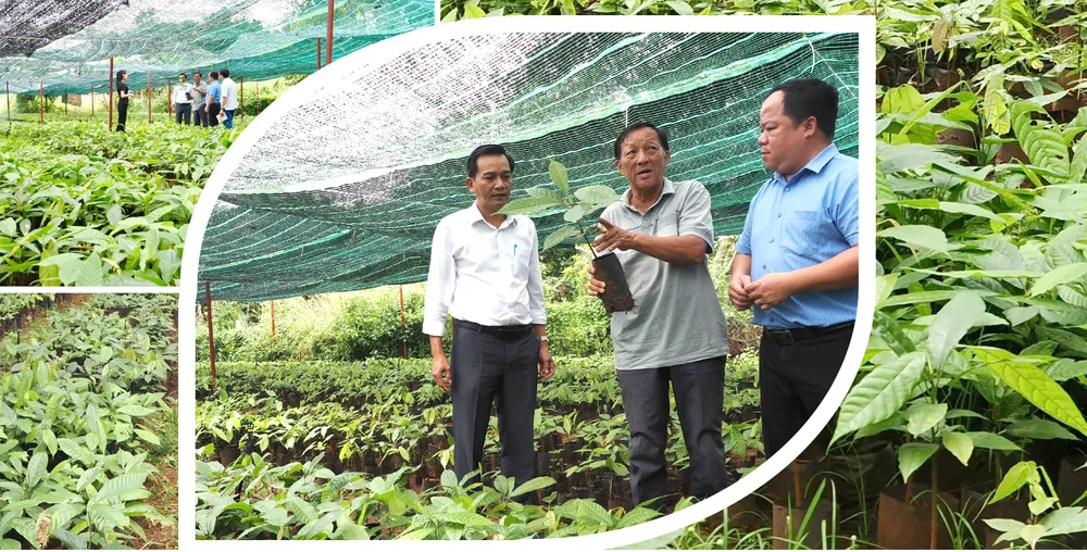 Nong nghiep do thi chuyen minh-17.jpg