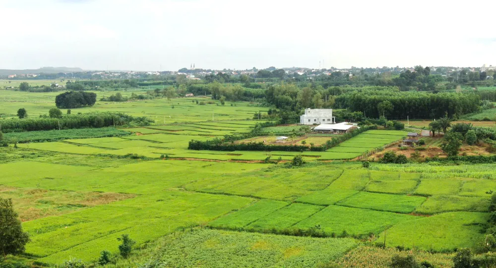 Nong nghiep do thi chuyen minh-19.jpg