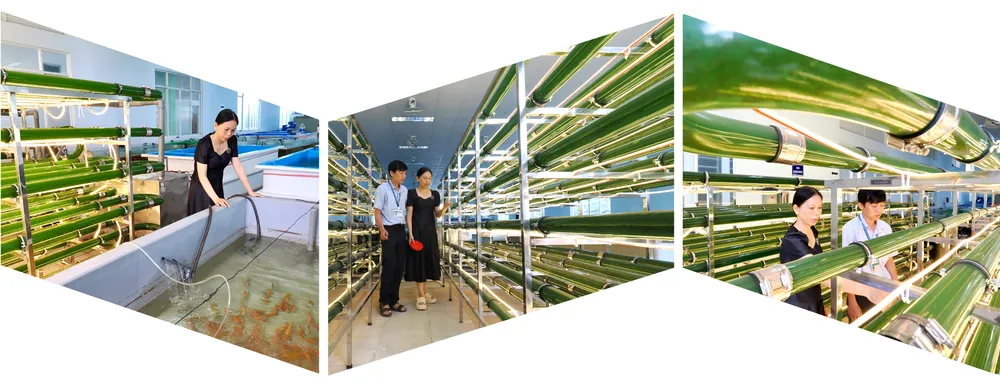 Nong nghiep do thi chuyen minh-6.jpg