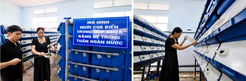 Nong nghiep do thi chuyen minh-7.jpg