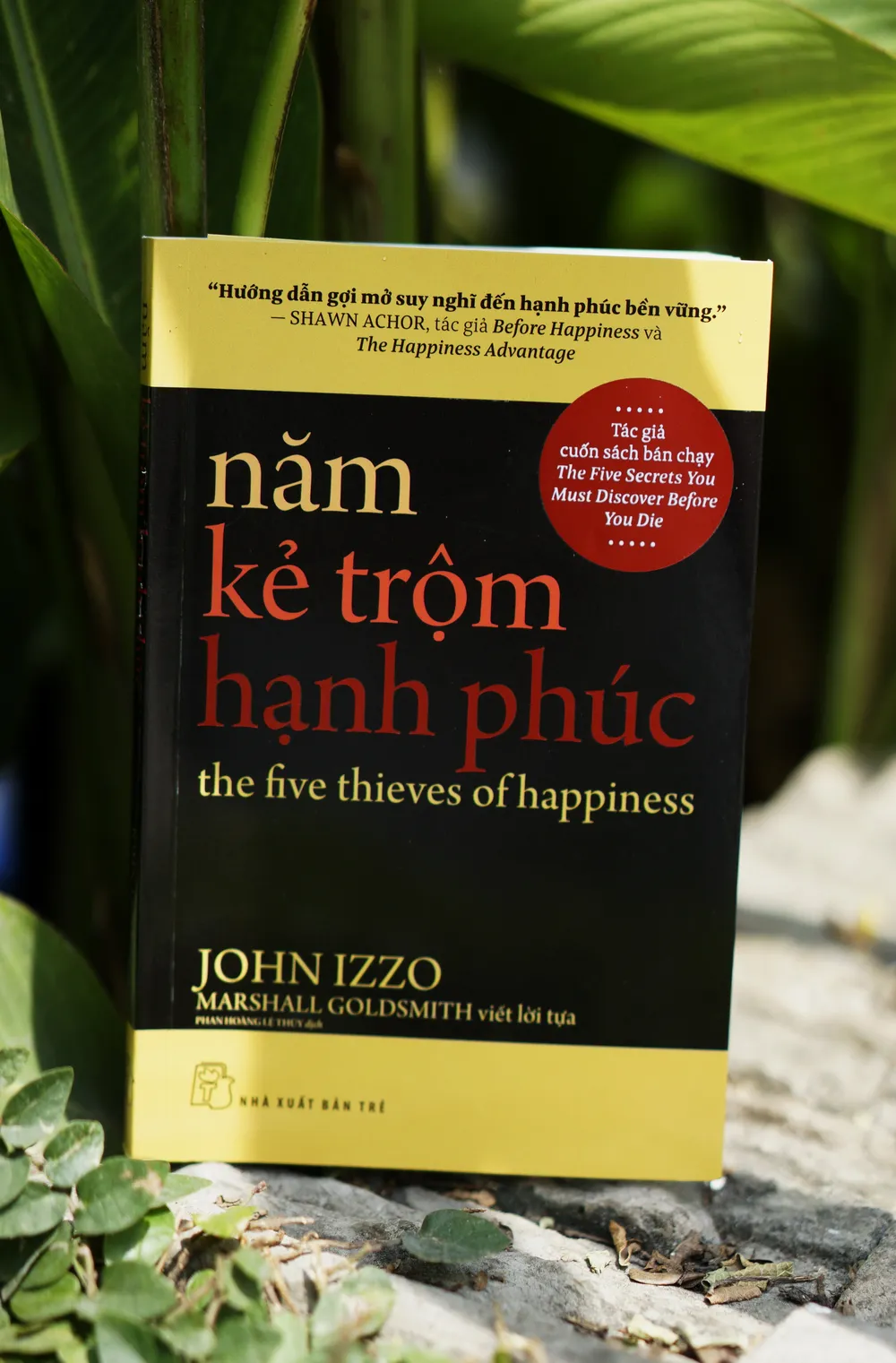 Những quyển sách giúp thư thái tâm hồn nhân ngày Quốc tế phụ nữ  ảnh 3