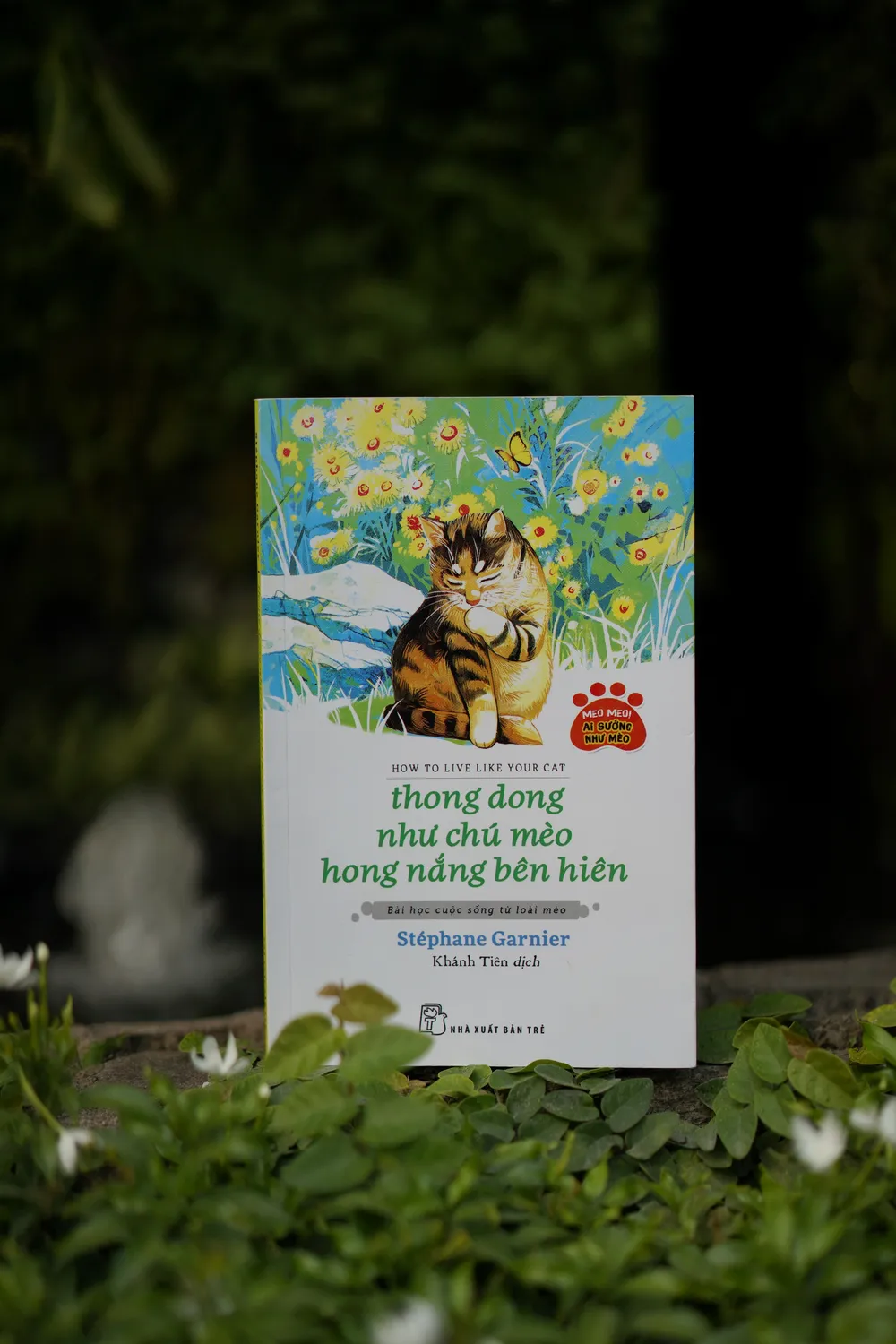 Những quyển sách giúp thư thái tâm hồn nhân ngày Quốc tế phụ nữ  ảnh 2