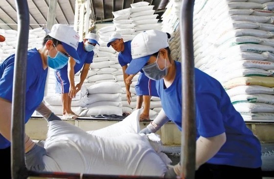 Vietnam’s rice exports to the UK drop by 20 percent ảnh 1 Vietnam’s rice exports to the UK drop by 20 percent ảnh 1