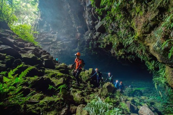 Many branchwork caves discovered at Volcanic Cave in Dak Nong ảnh 1 Many branchwork caves discovered at Volcanic Cave in Dak Nong ảnh 1
