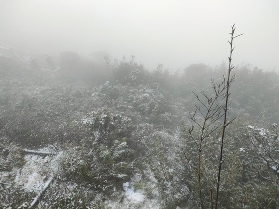 There is a possibility of snowfall and frost in the high mountains. (Photo: SGGP) There is a possibility of snowfall and frost in the high mountains. (Photo: SGGP)