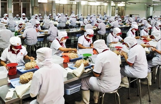 Production at Vissan Company. (Photo: SGGP)