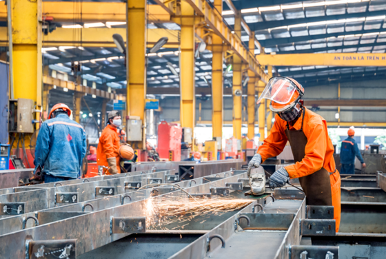 Ho Chi Minh City to reboot industrial development strategy (Photo: SGGP)