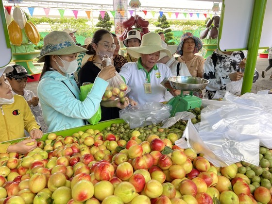 Visitors buy fruits at Suoi Tien Cultural Tourism Area. Visitors buy fruits at Suoi Tien Cultural Tourism Area.