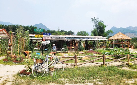 In July 2021, Ms. Nga, along with 17 students with disabilities, embarked on a challenging journey to Phuoc My Valley Hill on the outskirts of Quy Nhon City to establish the Waste Recycling Garden NNC.