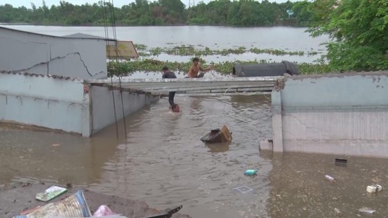 Landslides occur along the 826C Road in Phuoc Lai Commune, Can Giuoc District, resulting in seven houses of local residents falling into the Can Giuoc River.