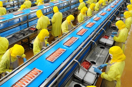 Shrimp processing at a company in Thua Thien - Hue.