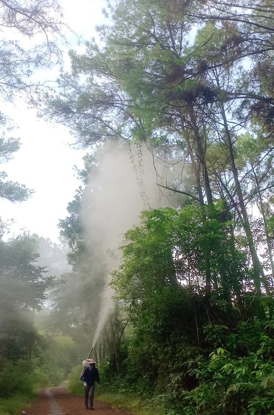 Authorities spray pesticide to kill hairy caterpillars. Authorities spray pesticide to kill hairy caterpillars.