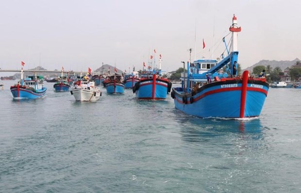 Vietnam has seriously implemented recommendations made by the European Commission (EC) to fight illegal, unreported and unregulated (IUU) fishing. (Photo: VNA) Vietnam has seriously implemented recommendations made by the European Commission (EC) to fight illegal, unreported and unregulated (IUU) fishing. (Photo: VNA)