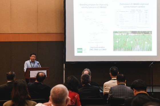 Dr. Tran Ngoc Thach, Director of the Mekong Delta Rice Research Institute, introduces salt-tolerant rice varieties of Vietnam. Dr. Tran Ngoc Thach, Director of the Mekong Delta Rice Research Institute, introduces salt-tolerant rice varieties of Vietnam.