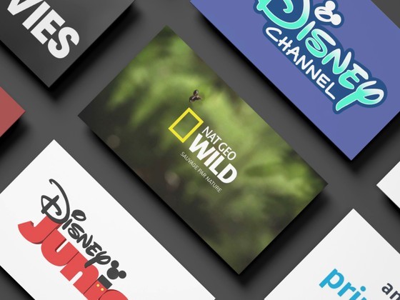 Numerous international TV channels have gradually exited the Southeast Asian pay television market, including Vietnam.