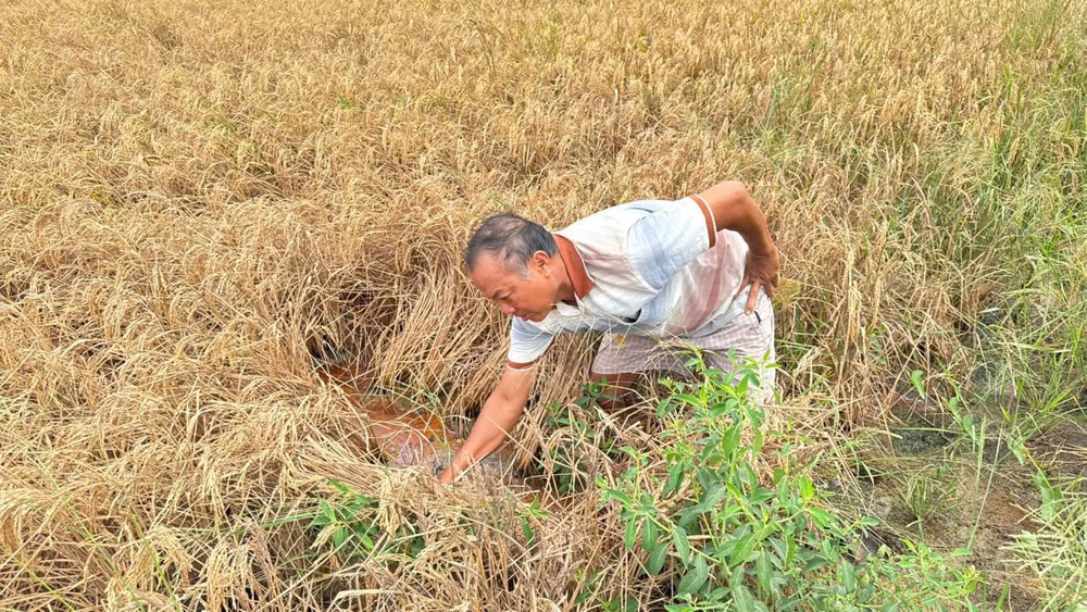 1789640f0453b40ded42-3769-2175.jpg.jfif