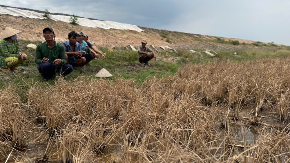 5-4902-8717.jpg.jfif