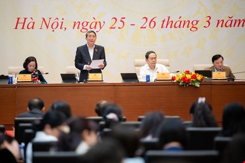 hai-1365-7350.jpg.jfif