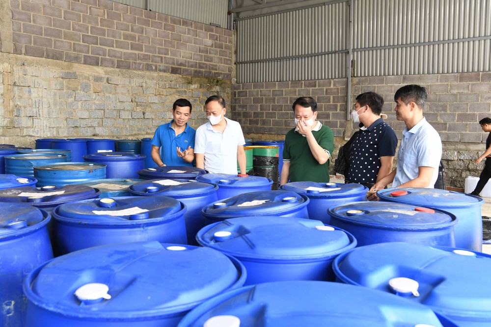 dsc-0395-8947-3095.jpg.jfif