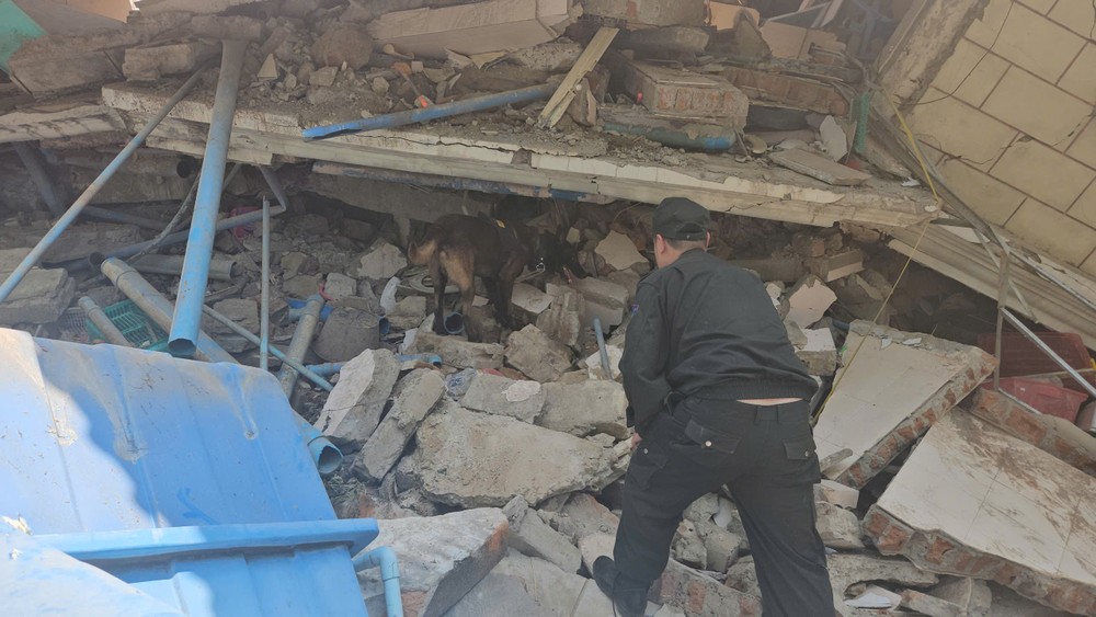 z6458904355089-d637eeec6427b07fb49bb78f593d0f38-8394-5705.jpg.jfif