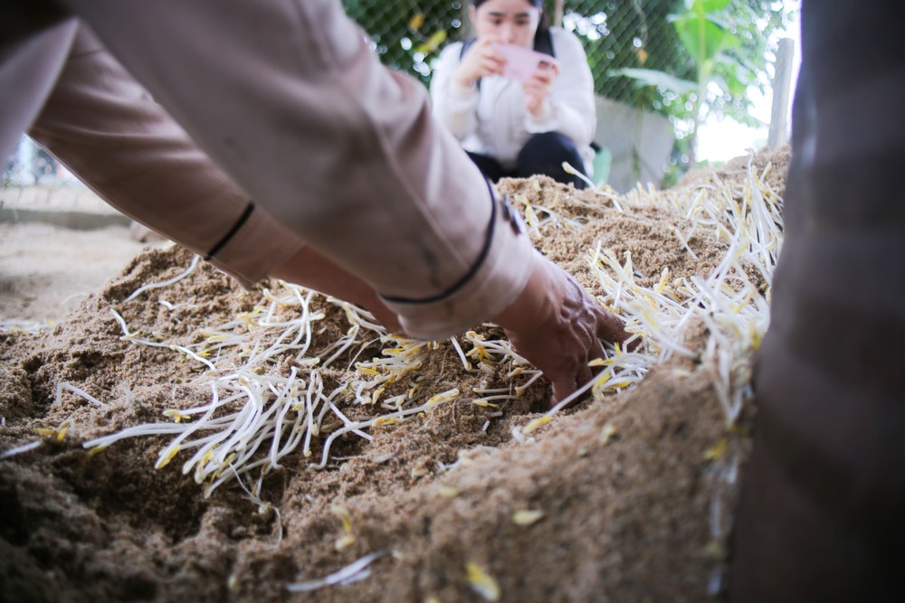 lam-dau-gia-10-1-of-1-4925-1752.jpg.jfif