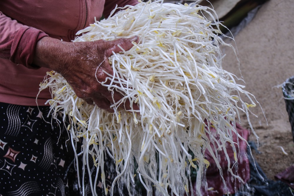 lam-dau-gia-22-1-of-1-222-7124.jpg.jfif