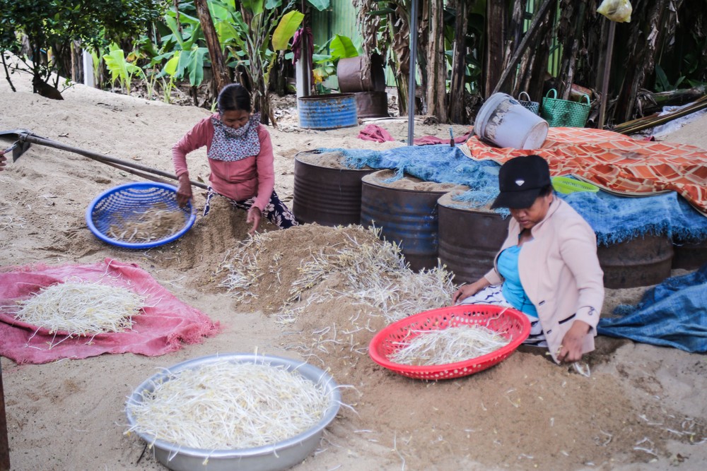 lam-dau-gia-9-1-of-1-5711-7727.jpg.jfif