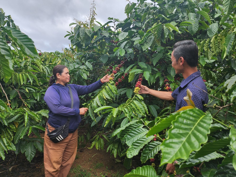 20241206-113405-1247-9641.jpg.jfif