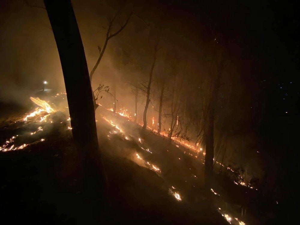 img-8276-8395-9826.jpeg.jfif