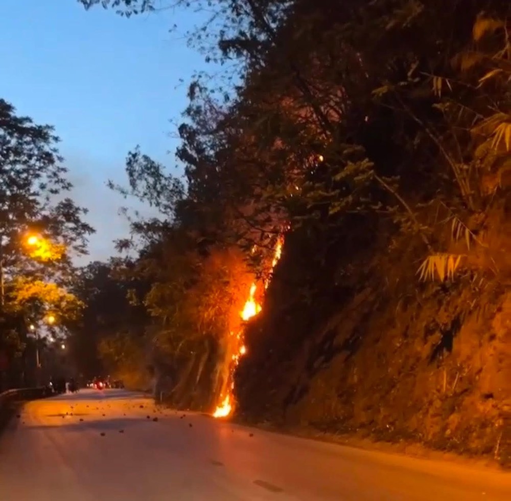 img-8277-2113-734.jpeg.jfif