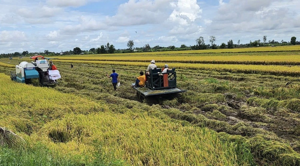 03-6006-8585.jpg.jfif