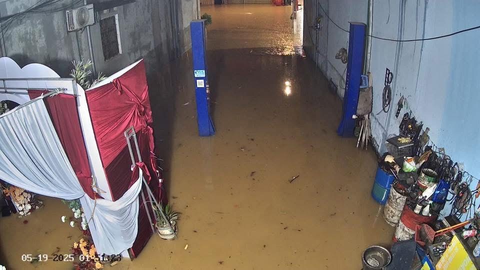 img-9082-6715-7556.jpeg.jfif