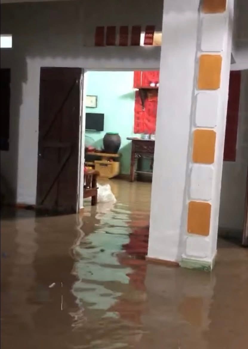 img-9085-43-219.jpeg.jfif