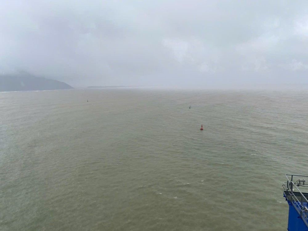 z6639438220960-eb3a7f9346a8fab4f64bb02b88c6a4b4-6728-3168.jpg.jfif