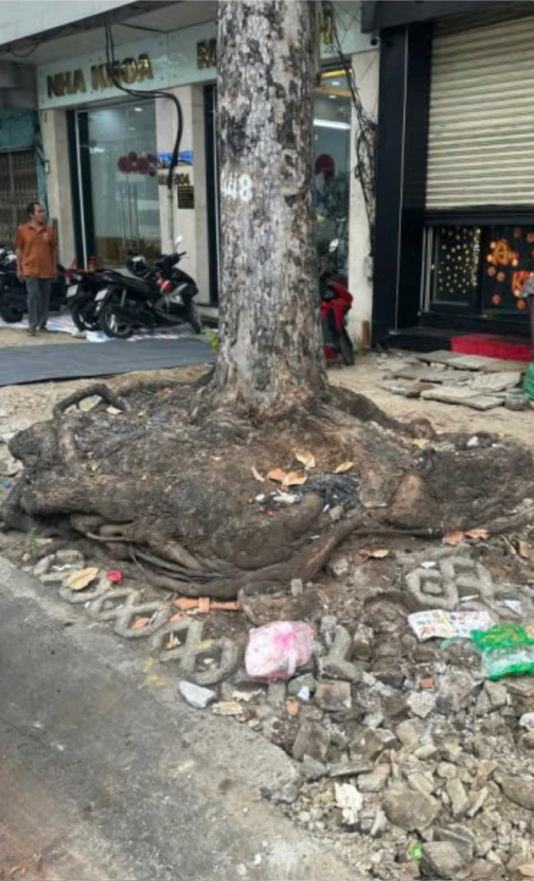 5b-8569-5413.jpg.jfif