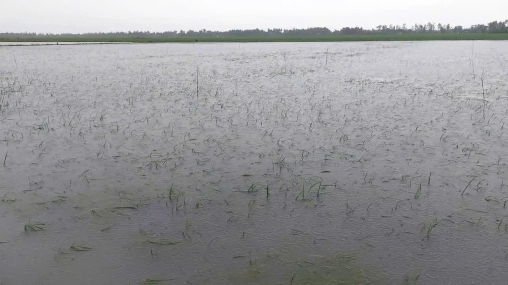 b19b8347c1d0758e2cc1-5948-2738.jpg.jfif