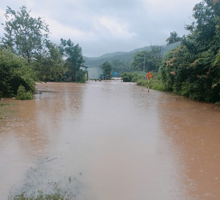 bd4f547566e1d2bf8bf0-4493-2725.jpg.jfif