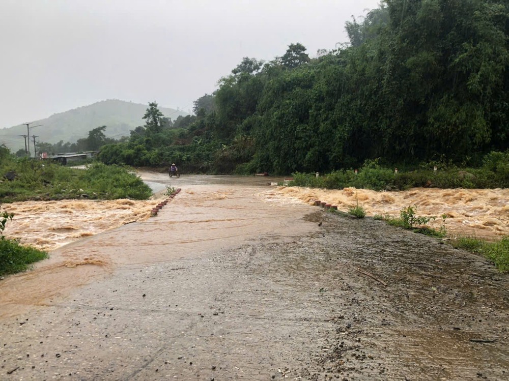 c606e0072a8e9ed0c79f-1657-2599.jpg.jfif