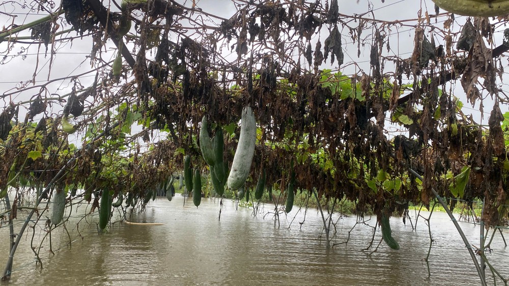 z6697152004854-db79fd44ed19349f419ad28e394b4e1b-1962-4871.jpg.jfif