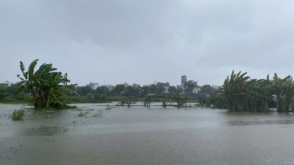 z6697152034573-a4ee33c4f916783c5158735a27afd37f-6100-6158.jpg.jfif