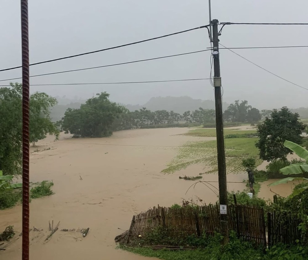 img-9757-5005-984.jpeg.jfif