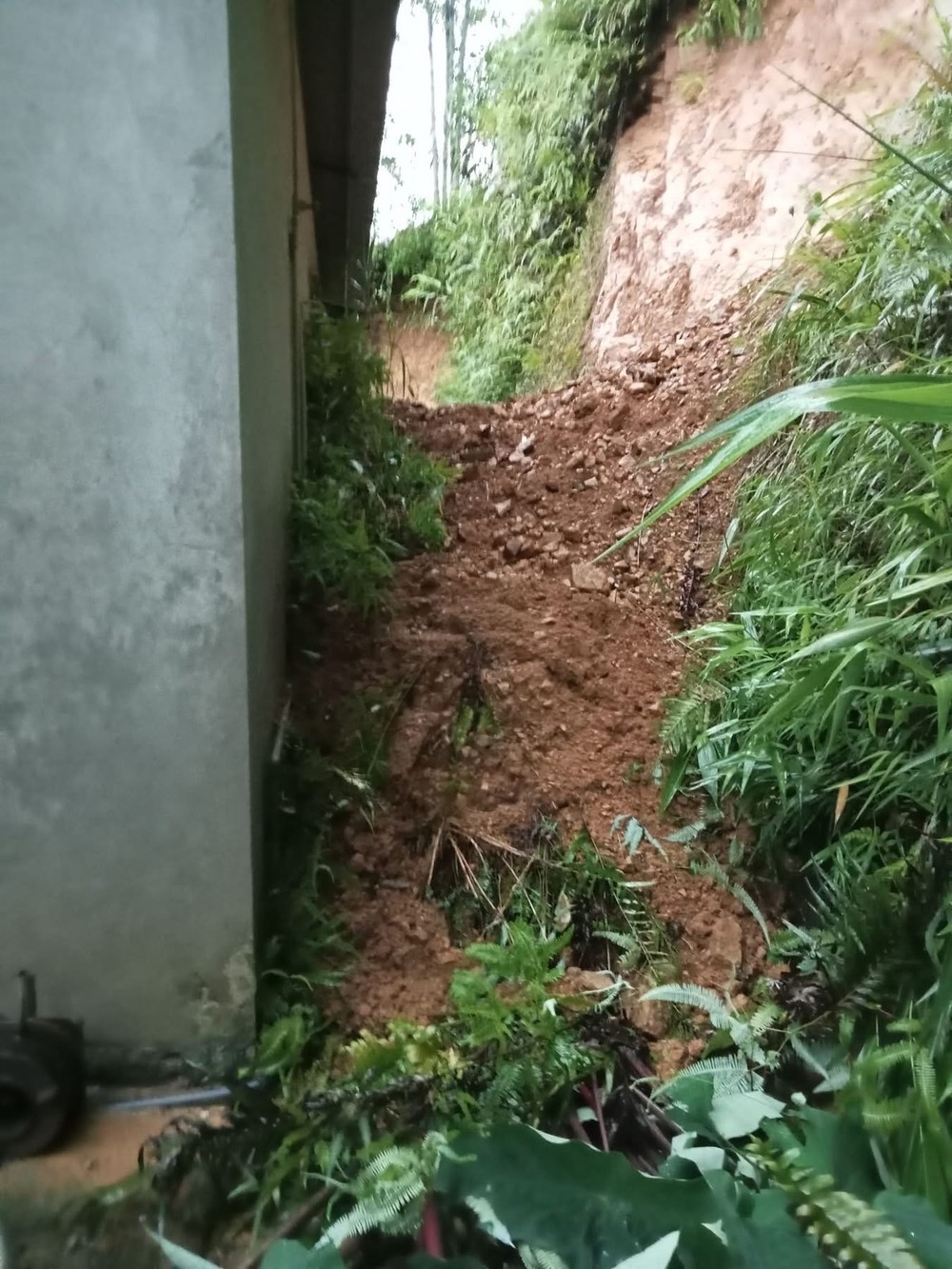 img-9758-9795-2714.jpeg.jfif